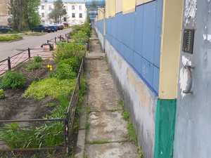 ленина 17а очистка отм. от растительности до 3.jpeg